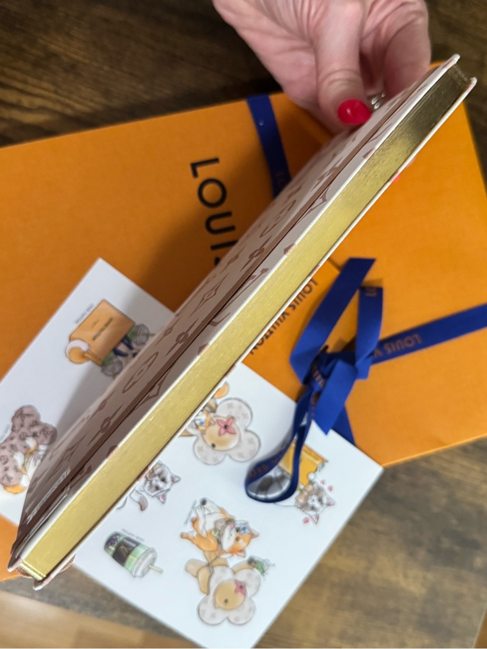 NEW LOUIS VUITTON Monogram Dune Jane Notebook MM with Stickers - Picture 3 of 4